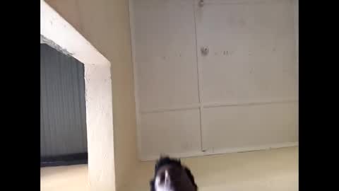 kinkybby_ online show from April 9, 8:20 am