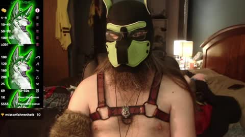 kinkywolf87 online show from July 20, 3:47 pm