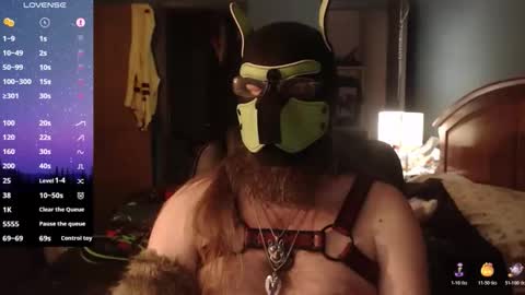 kinkywolf87 online show from April 3, 4:20 am