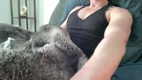 Kirby online show from March 28, 5:24 pm