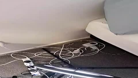 kiwibulge123 online show from July 10, 11:50 pm
