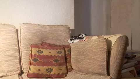 Snapshot of kokworshipper chatting on December 8, 3:45 pm kokworshipper online show from December 8, 3:45 pm