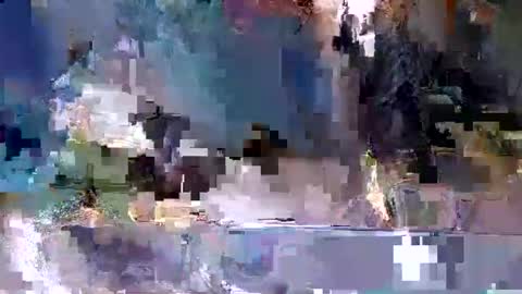 latinobra online show from November 3, 11:06 pm