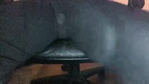 Legman online show from January 24, 7:41 am