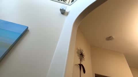 letseethem1 online show from February 15, 6:38 pm