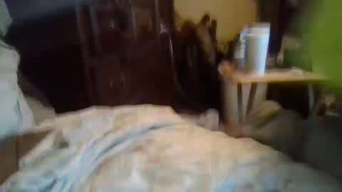 letslookateach online show from December 14, 1:28 am