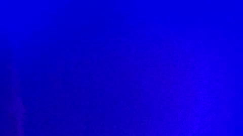 Snapshot of lickyouryoni chatting on January 13, 2:21 pm LickYourYoni online show from January 13, 2:21 pm