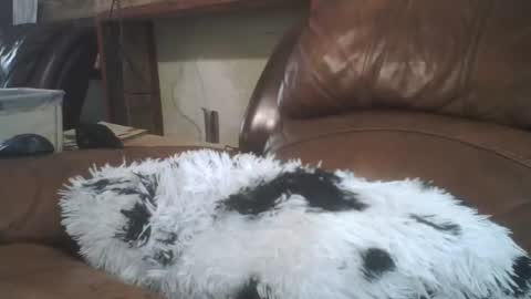 Richie Rich online show from February 20, 8:32 pm