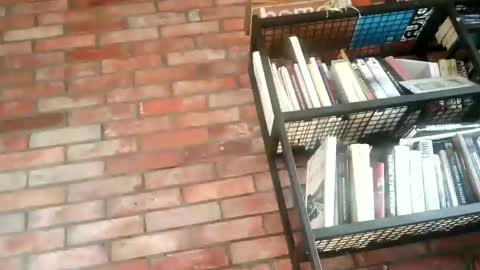 lllukasssxxx online show from November 1, 9:35 am