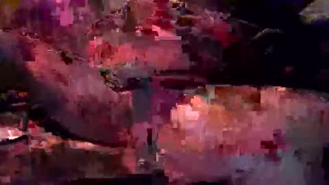 Sean online show from February 12, 8:20 am