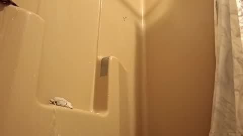 lookhim25 online show from April 14, 11:32 am