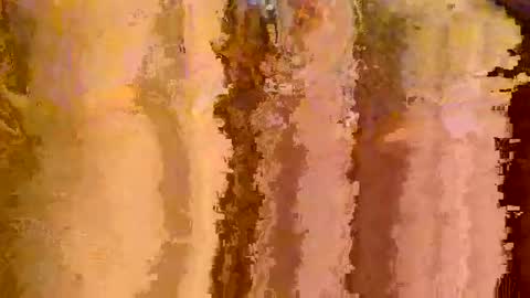 2791 3D online show from February 5, 2:29 am