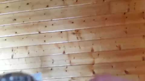 lovswomen online show from November 30, 5:48 pm