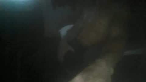 luizs23 online show from November 5, 4:58 am