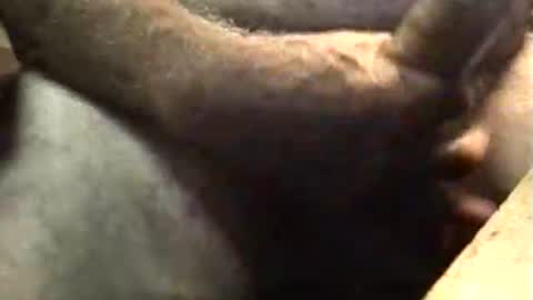 lukestarfckr online show from October 5, 5:55 am