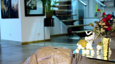 Lukhas f4f online show from February 1, 4:56 am