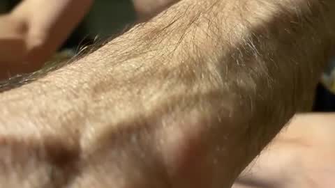 lupushorny online show from November 12, 3:34 am