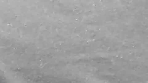 lustgardener67 online show from January 27, 10:06 am