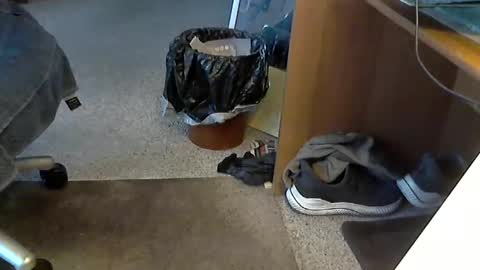 lynne1_cd_nj online show from April 13, 11:27 pm