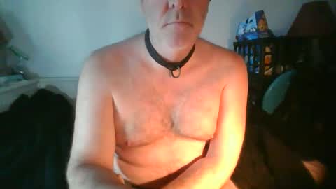 CommandbondageNipples bondage kink submissive lovense slave wgear. modequiethvyBondage If Password goldfish online show from February 13, 12:39 am