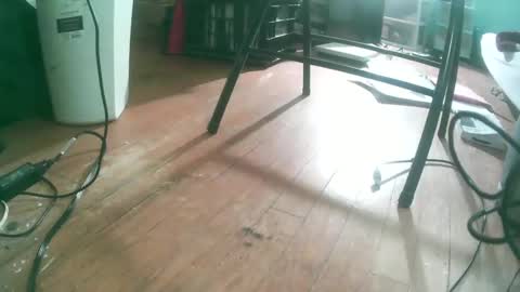 maleslutforwomen online show from November 30, 6:37 am