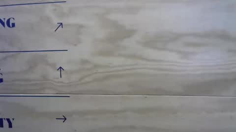 Mason Andre online show from October 30, 2:40 pm