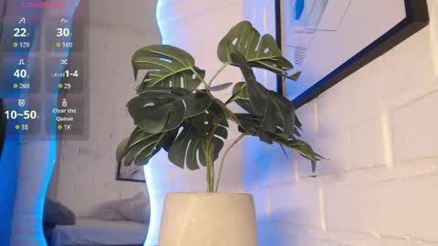 MATEO HUNTER online show from April 15, 6:24 am