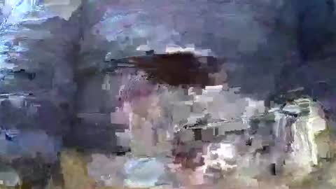 max00700769 online show from March 7, 6:11 pm