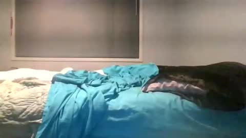 Max online show from June 4, 2:28 am