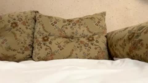 Max online show from February 8, 2:05 pm