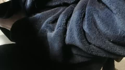 mee9090e900 online show from September 15, 12:50 pm