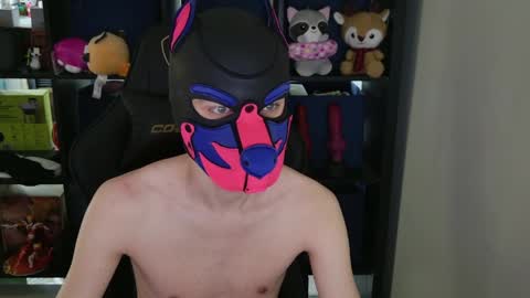 MellPUP online show from April 9, 9:32 pm