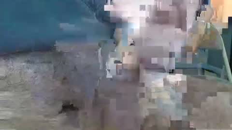 Manuke online show from December 29, 7:50 am