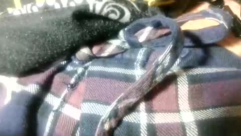 mikeyd1a online show from March 22, 4:23 pm