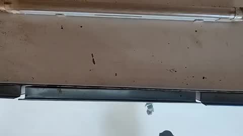 camilo online show from September 24, 12:14 pm