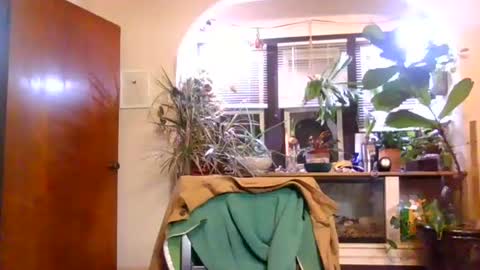 moeblick online show from November 11, 12:21 pm