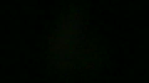 mollo20 online show from November 16, 1:46 pm