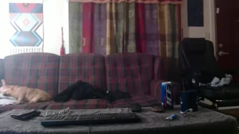 Snapshot of mr_happy12 chatting on January 26, 4:51 am mr_happy12 online show from January 26, 4:51 am