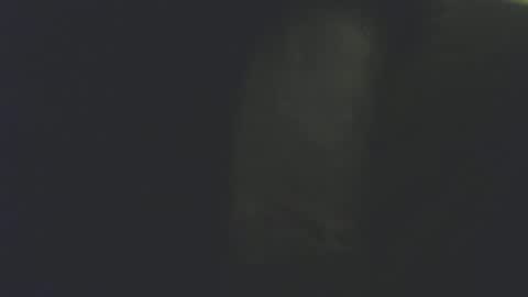 musicman2021 online show from March 2, 5:33 am