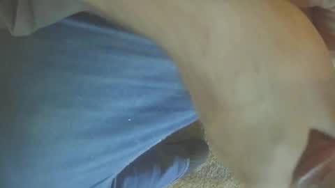 musicman2021 online show from January 2, 8:13 pm