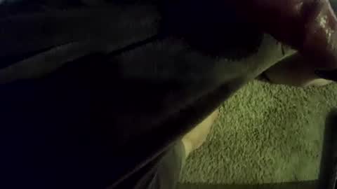 musicman2021 online show from September 14, 4:47 am