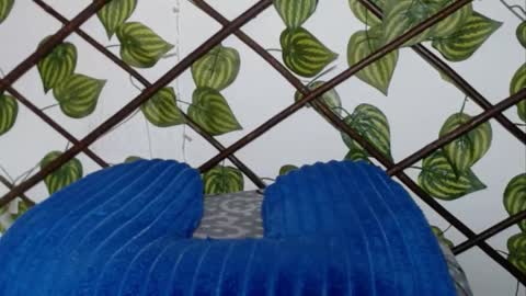 my negrito online show from April 15, 8:25 am