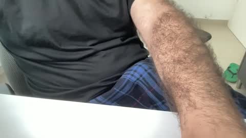 myStallion online show from November 6, 8:17 am