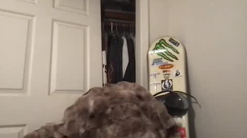 natetheexplorer online show from January 15, 4:49 am