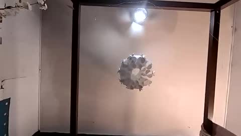 Haven online show from March 26, 4:55 pm