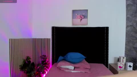 Noah online show from November 24, 12:28 pm