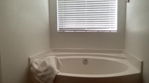 ncj2113 online show from April 11, 4:32 pm