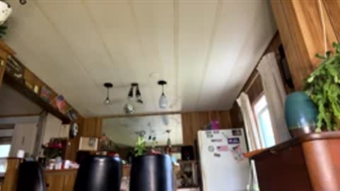 neversaynevrrr online show from April 18, 7:51 pm