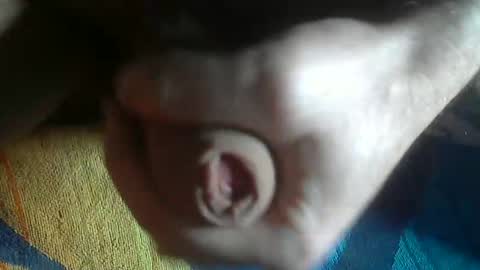 Snapshot of ni983 chatting on January 20, 11:45 am ni983 online show from January 20, 11:45 am