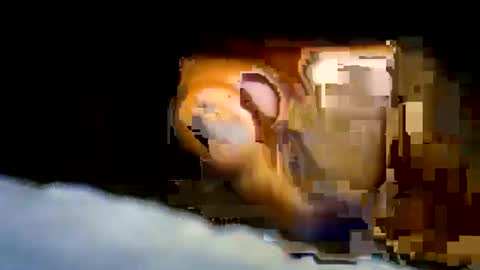 nicholaastavrou19 online show from April 8, 12:33 am